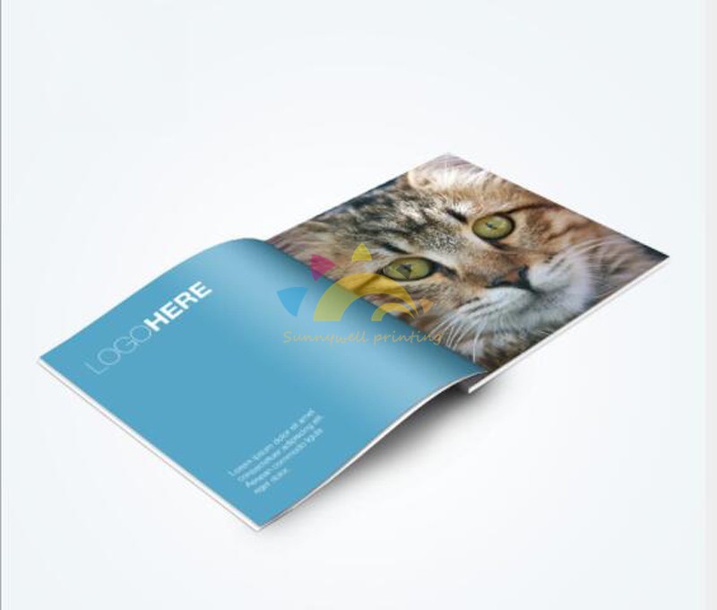 Servizio di stampa degli opuscoli di brochure