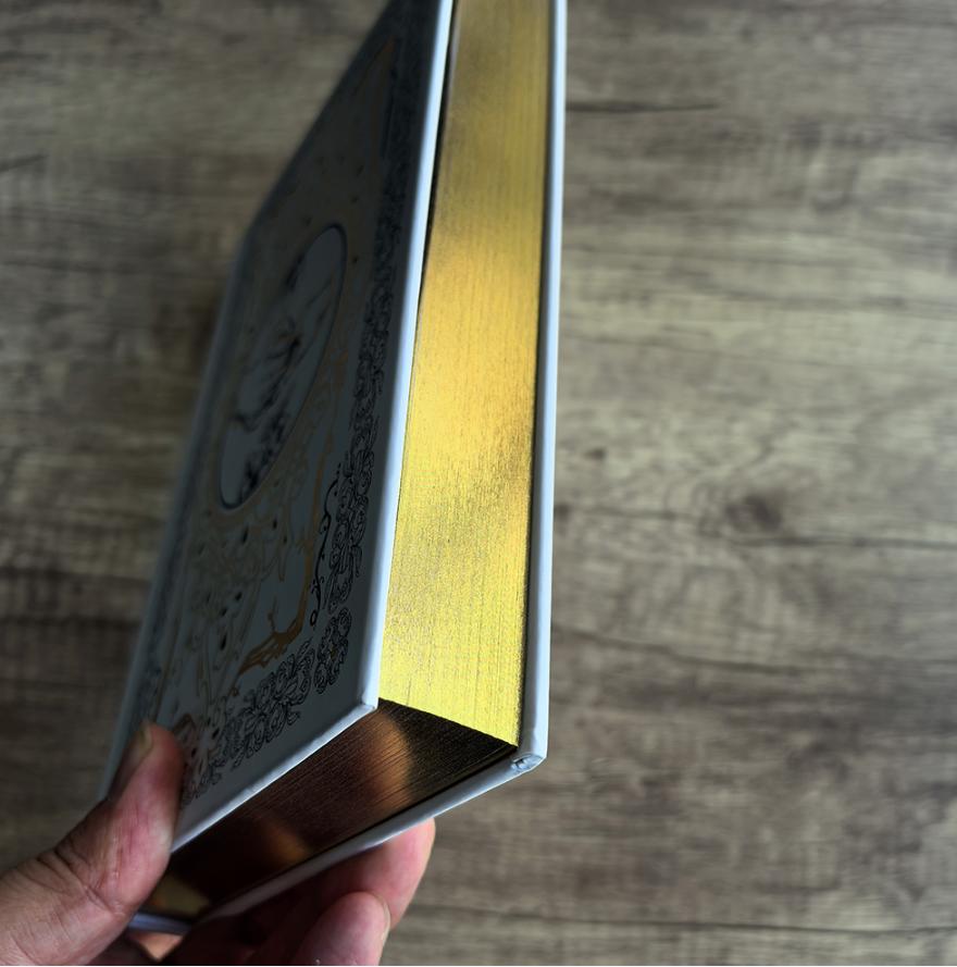 Libro dei trattamenti per il bordo anteriore Limited Run Novel Book